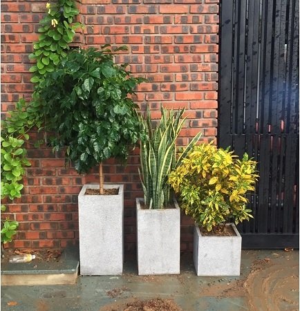 Chậu Trụ Vuông Cao 40cm