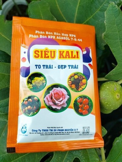 Phân Bón Siêu Kali (to trái đẹp trái)