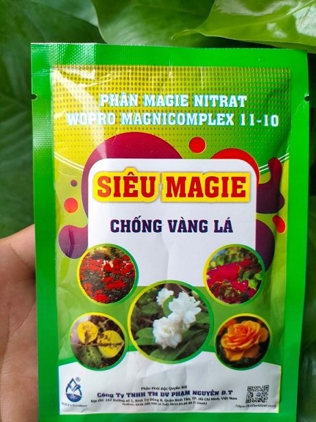Phân Bón Chống Vàng Lá Cho Cây Trồng