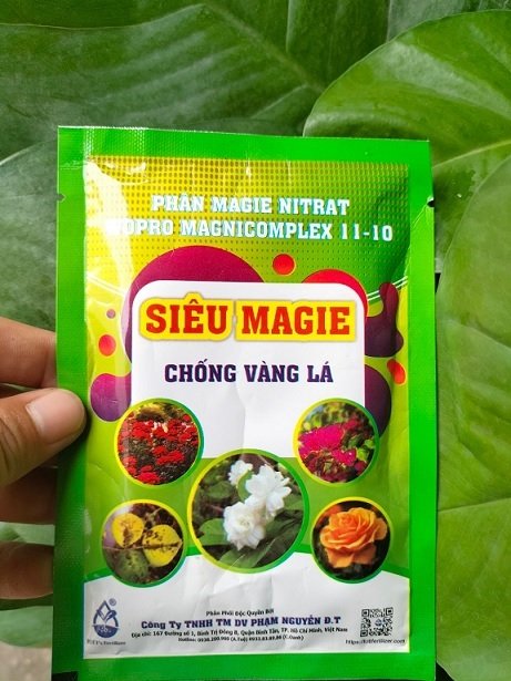 Phân Bón Chống Vàng Lá Cho Cây Trồng 3