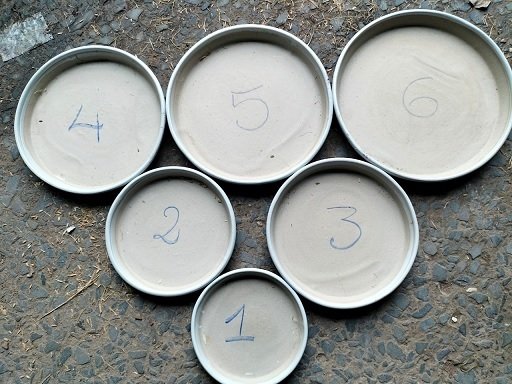 Dĩa Sứ Lót Chậu Trồng Cây