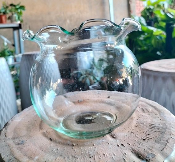 Bình Thủy Tinh Trồng Cây Thủy Sinh