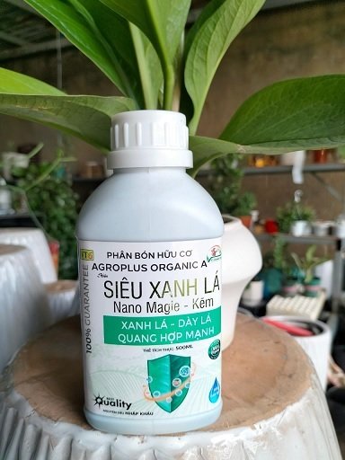 Phân Bón Giúp Cây Xanh Lá 3