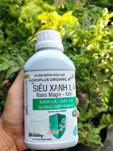 Phân Bón Giúp Cây Xanh Lá