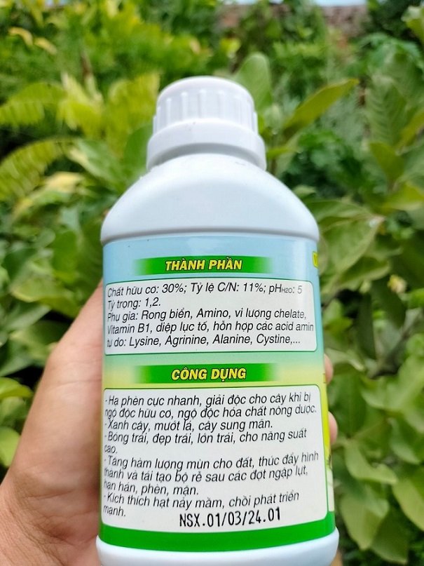 Rong Biển Phân Bón Cho Cây Trồng 3