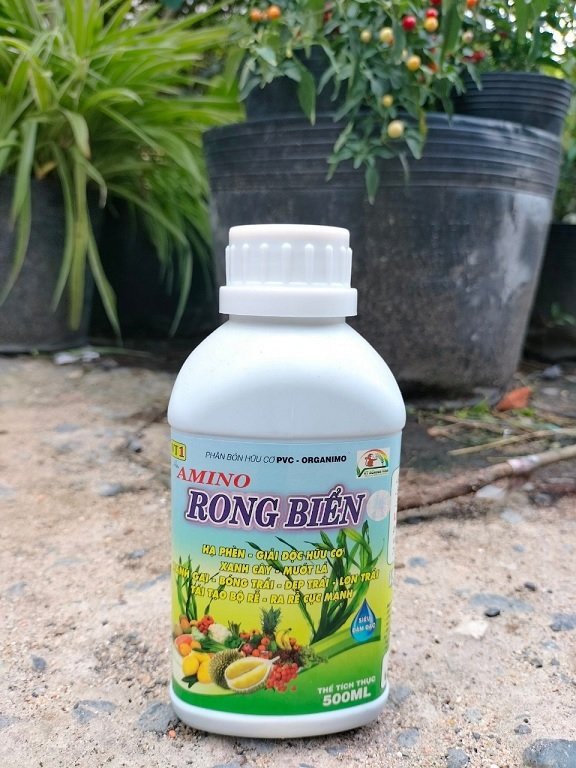 Rong Biển Phân Bón Cho Cây Trồng