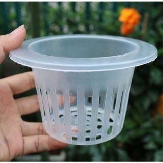 Rọ Nhựa Trồng Cây Thủy Sinh Để Bàn