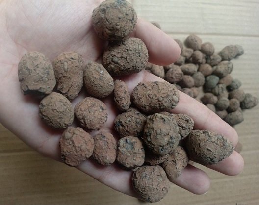 Viên Đất Nung Trồng Cây (gói 2kg) 3