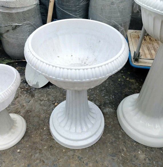 Chậu Ly Chân Đế Trung