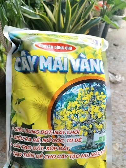 Phân Hữu Cơ Bón Cho Cây Mai Vàng