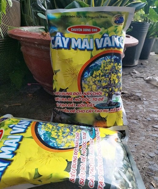 Phân Hữu Cơ Bón Cho Cây Mai Vàng 2