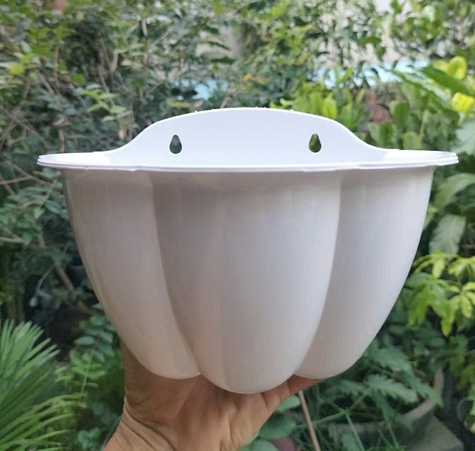 Chậu Nhựa Ốp Tường Trồng Cây
