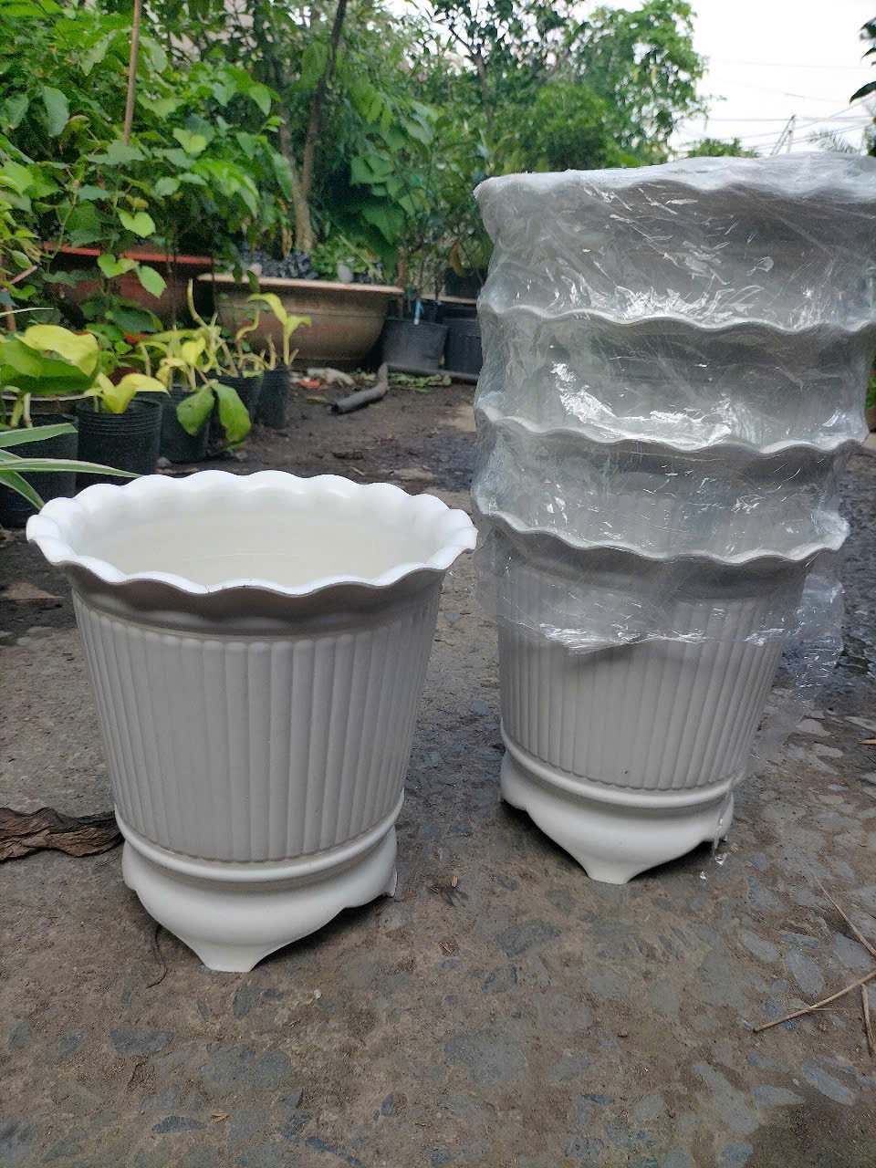 Chậu nhựa trắng 3 chân