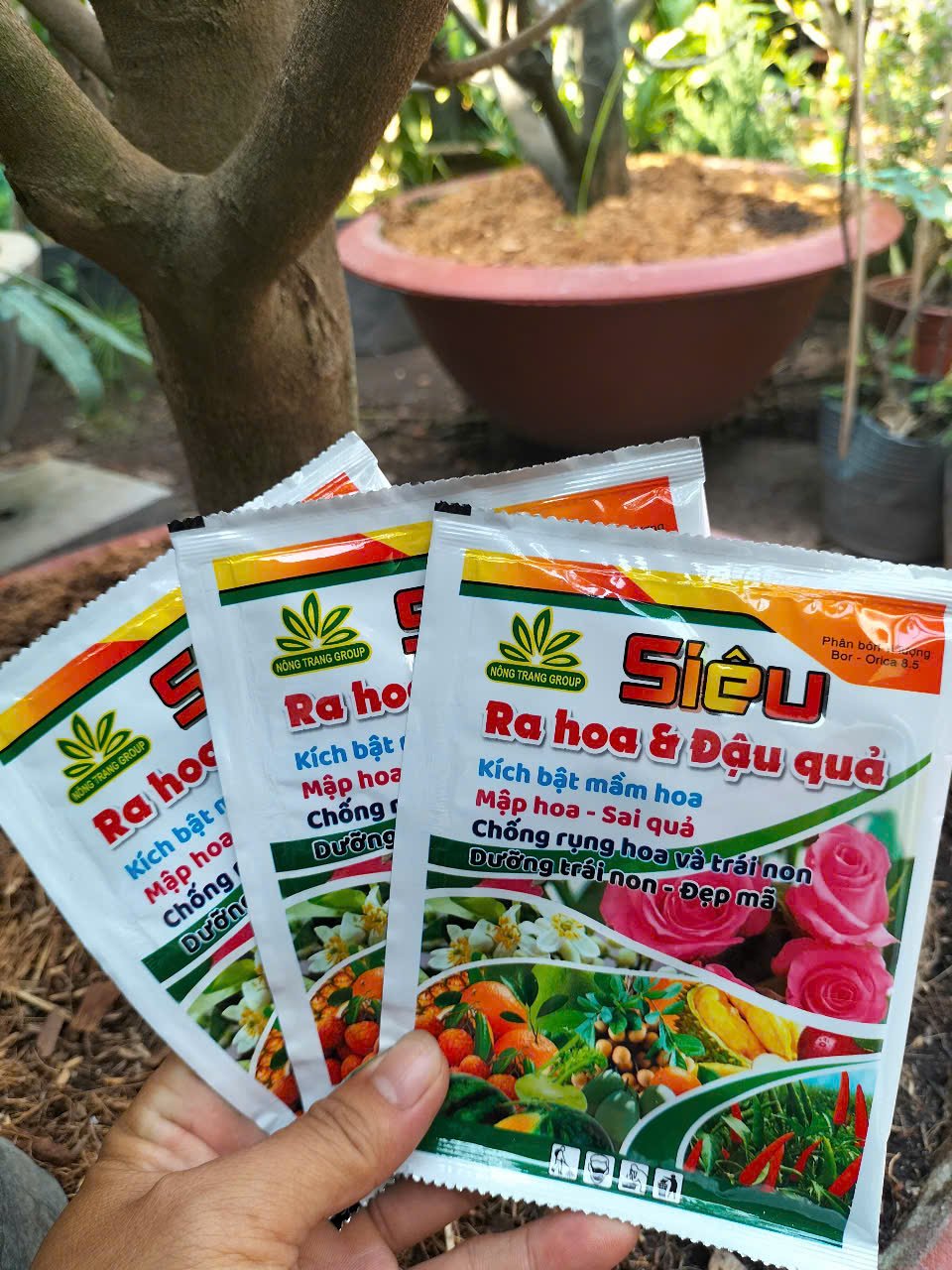 Phân Bón Siêu Ra Hoa Đậu Quả
