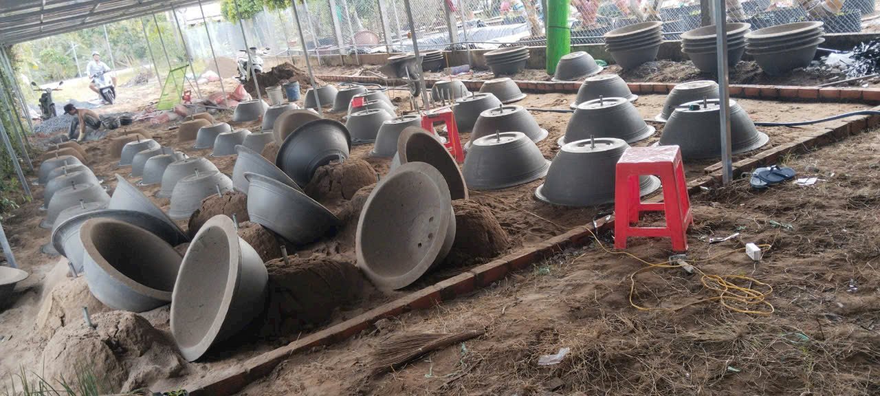 Chậu xi măng truyền thống màu trắng