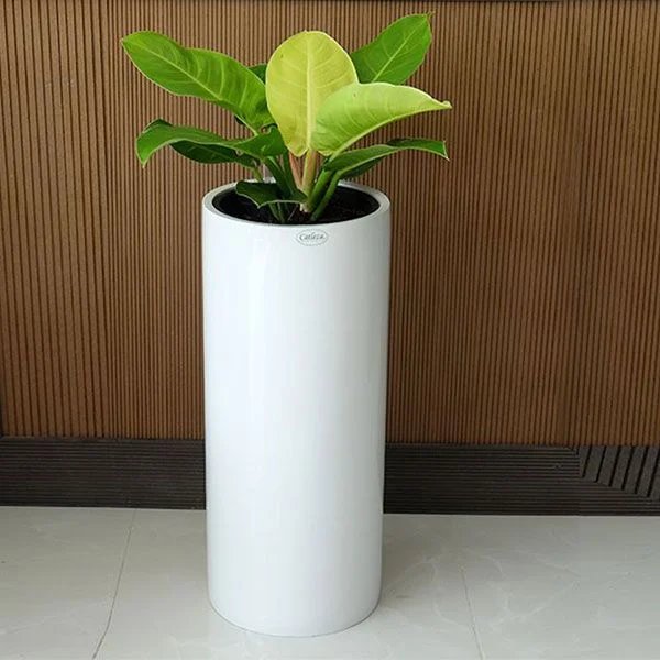 Chậu Composite Hình Trụ Cao 17kg