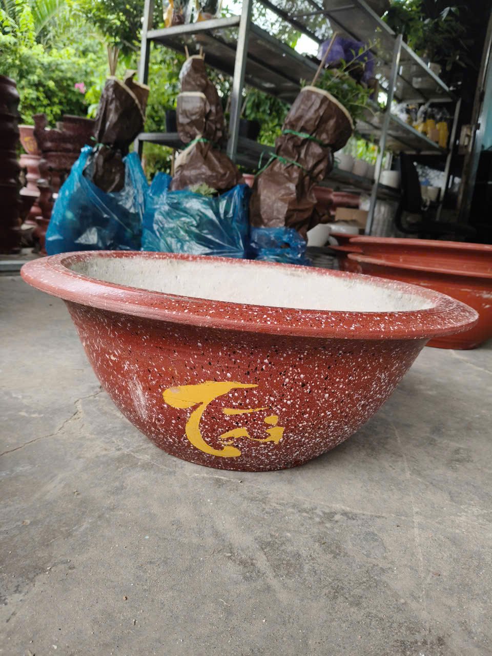 Chậu Xi Măng Đỏ – Chậu Sơn – Chậu Trồng Mai