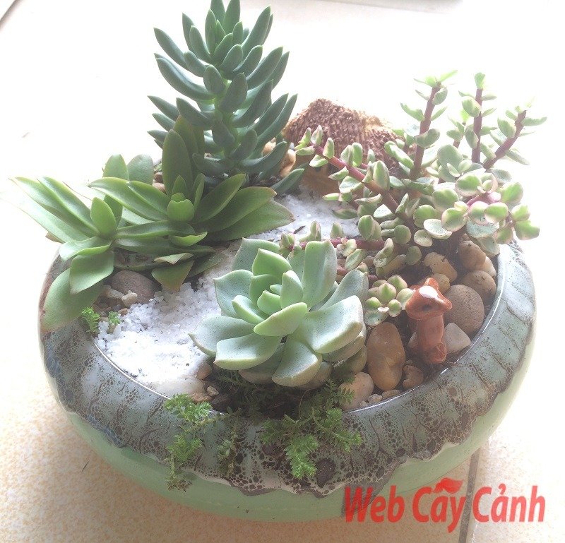 Tiểu Cảnh Ngôi Nhà Nhỏ Trên Thảo Nguyên 3