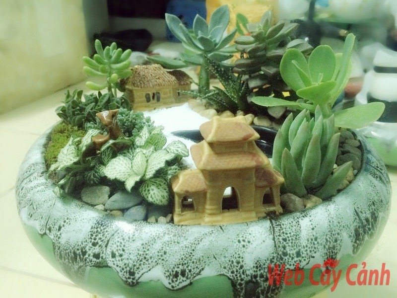 Tiểu Cảnh Sen Đá Đình Làng