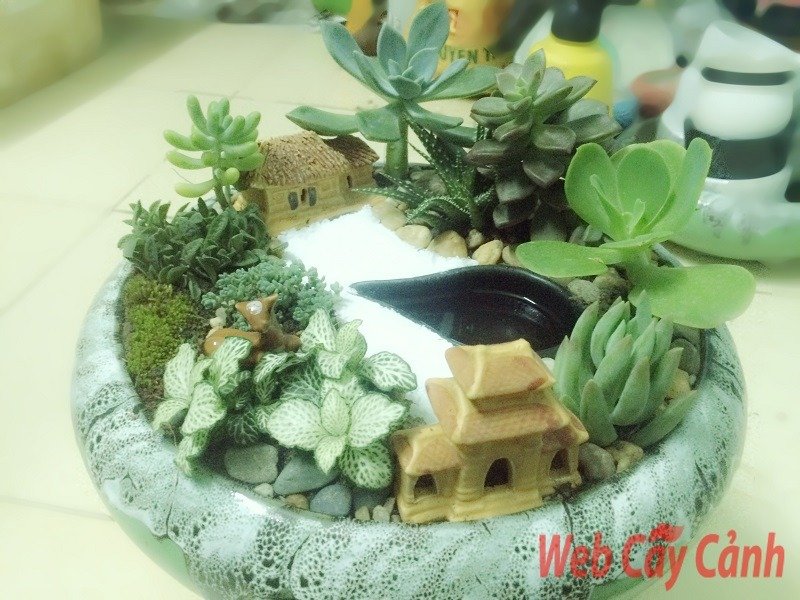 Tiểu Cảnh Sen Đá Đình Làng 2