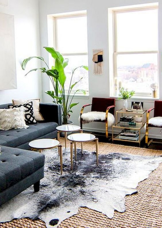 Cây Chuối Rẻ Quạt 3