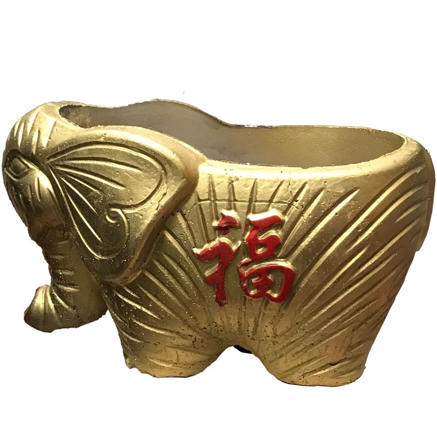 Chậu con voi vàng 2