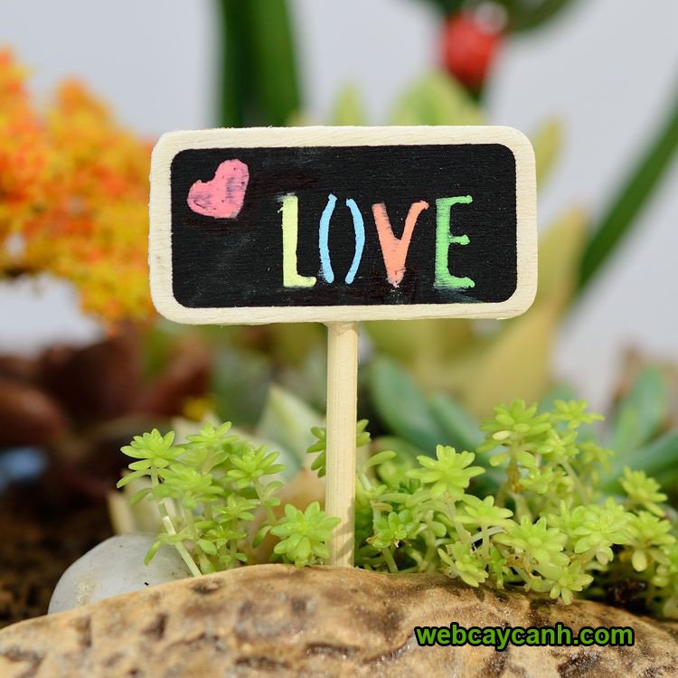 Biển đen tag cắm cây