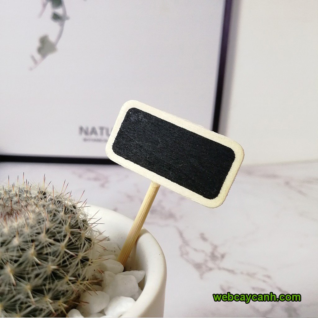 Biển đen tag cắm cây 3