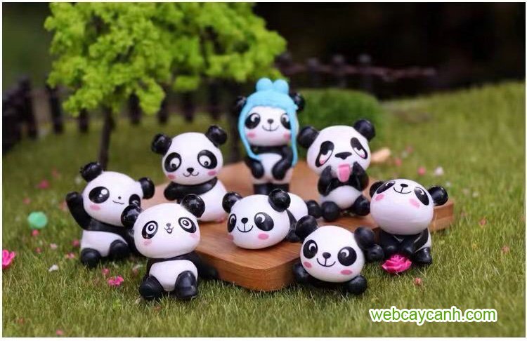 Phụ kiện gấu trúc