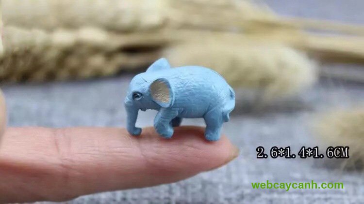 Phụ Kiện Voi 2
