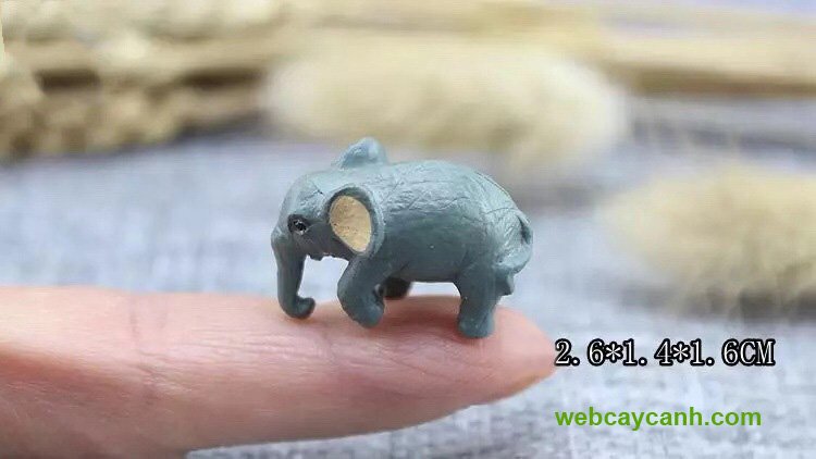 Phụ Kiện Voi
