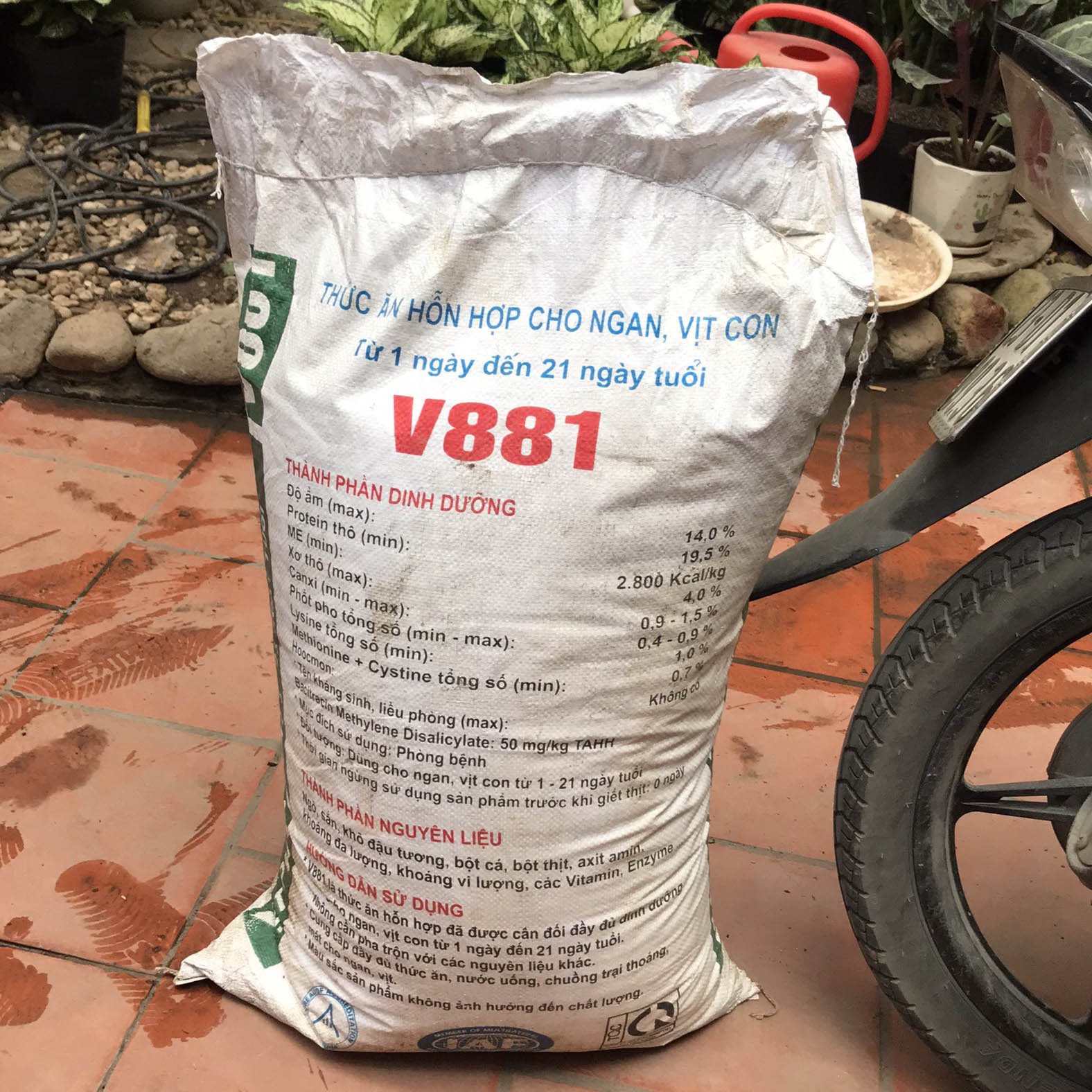 Trấu Hun Lẫn Nguyên Cánh 3