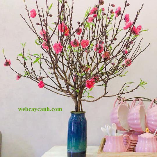Cành đào nhỏ 3