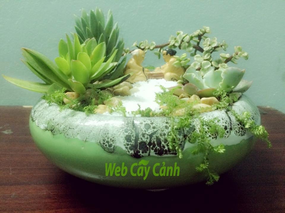 Tiểu cảnh bàn cờ tiên 3
