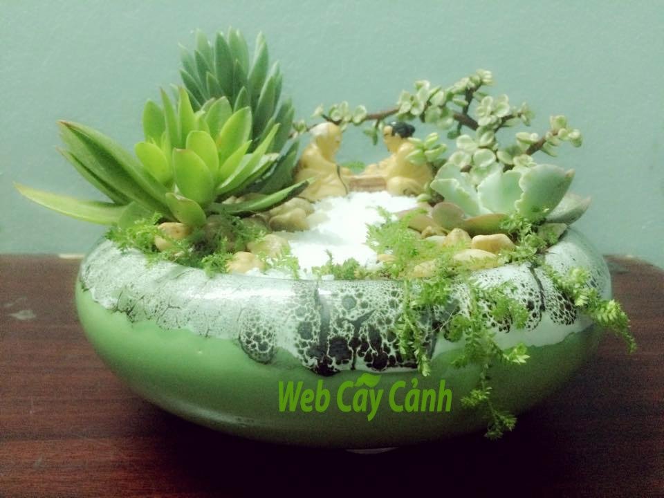 Tiểu cảnh bàn cờ tiên 2