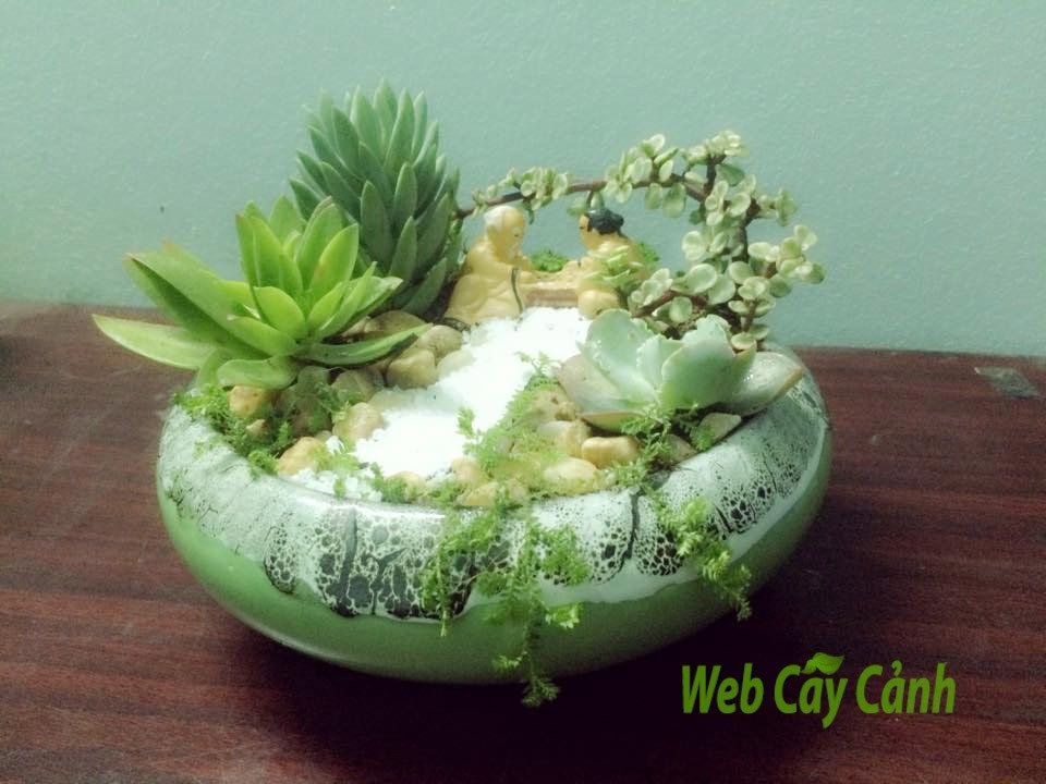 Tiểu cảnh bàn cờ tiên