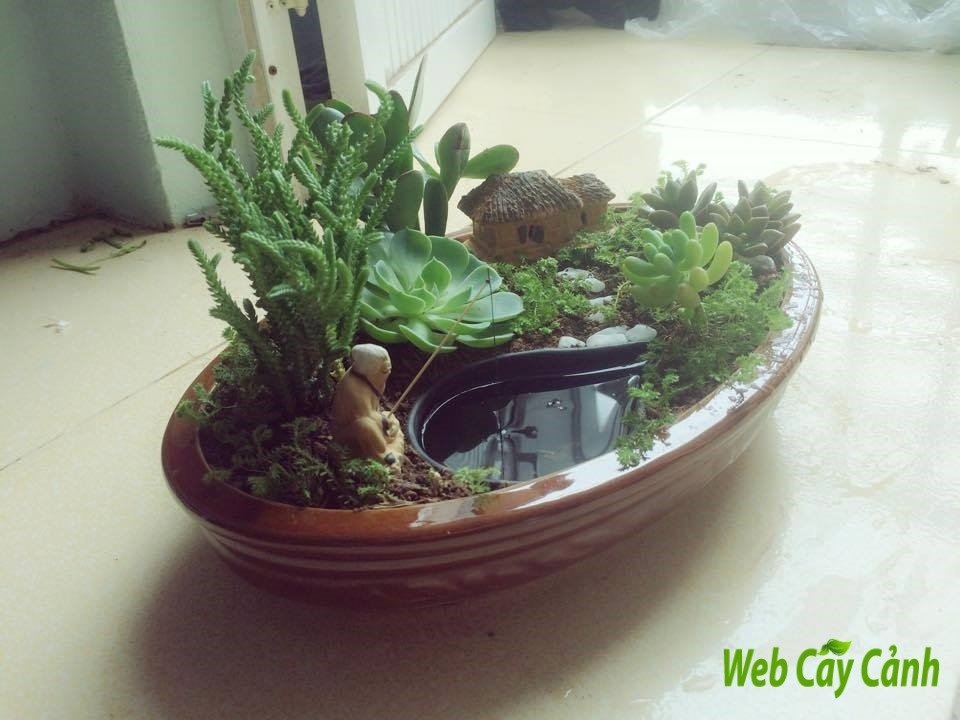 Tiểu Cảnh Sen Đá Điền Viên 2