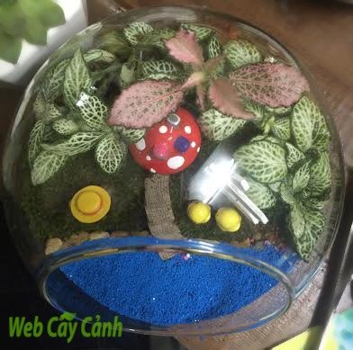 Terrarium Ngôi Nhà Nhỏ Trên Thảo Nguyên 2