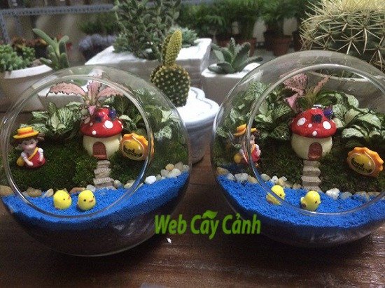 Terrarium Ngôi Nhà Nhỏ Trên Thảo Nguyên 3