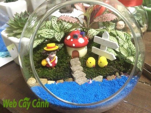 Terrarium Ngôi Nhà Nhỏ Trên Thảo Nguyên
