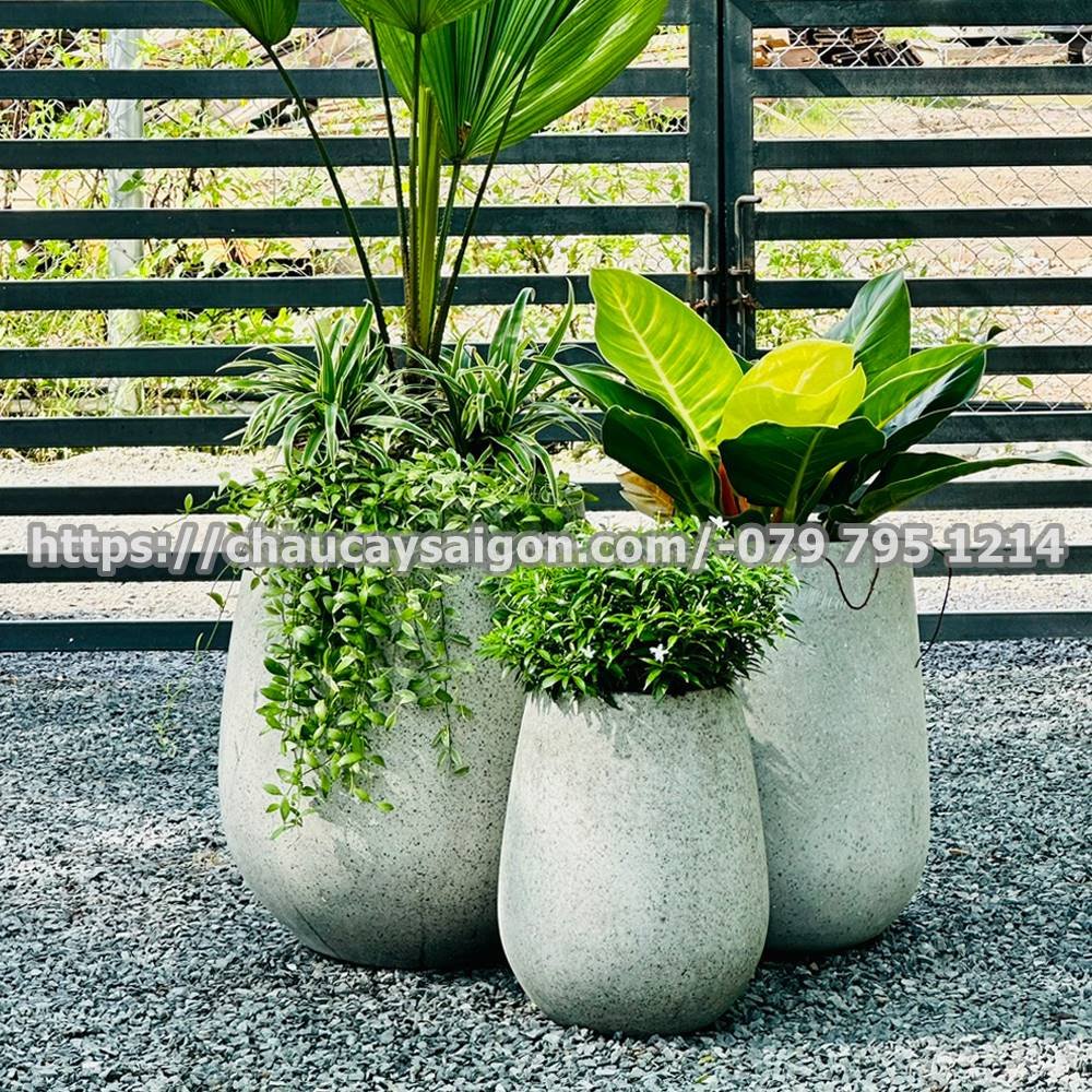 Chậu xi măng tròn giọt nước