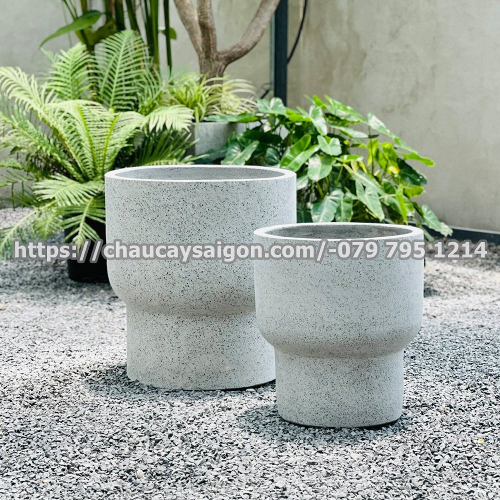 Chậu xi măng tròn đẹp hình ly