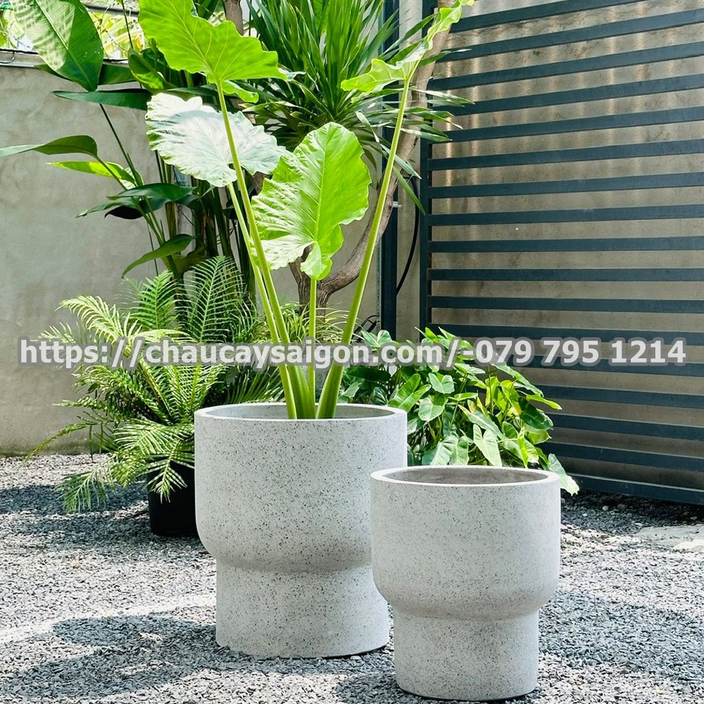 Chậu xi măng tròn đẹp hình ly 2