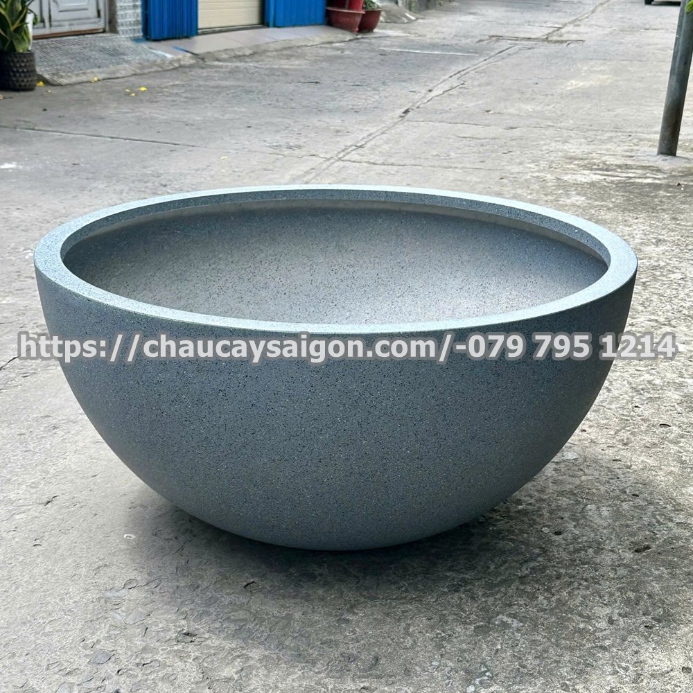 Chậu composite trồng sen giả đá 3