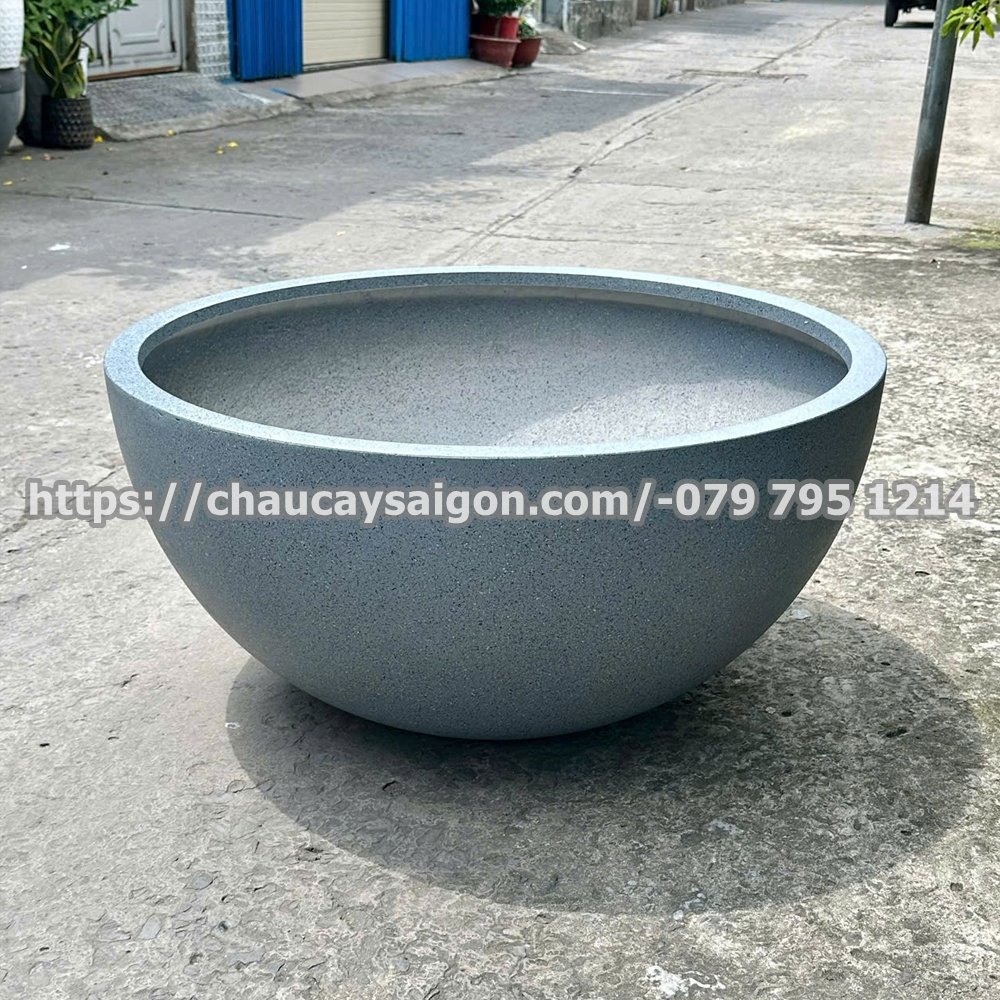 Chậu composite trồng sen giả đá