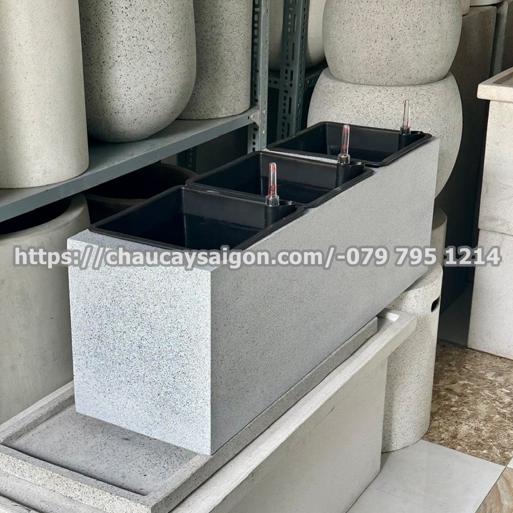 Chậu composite chữ nhật tự dưỡng 2