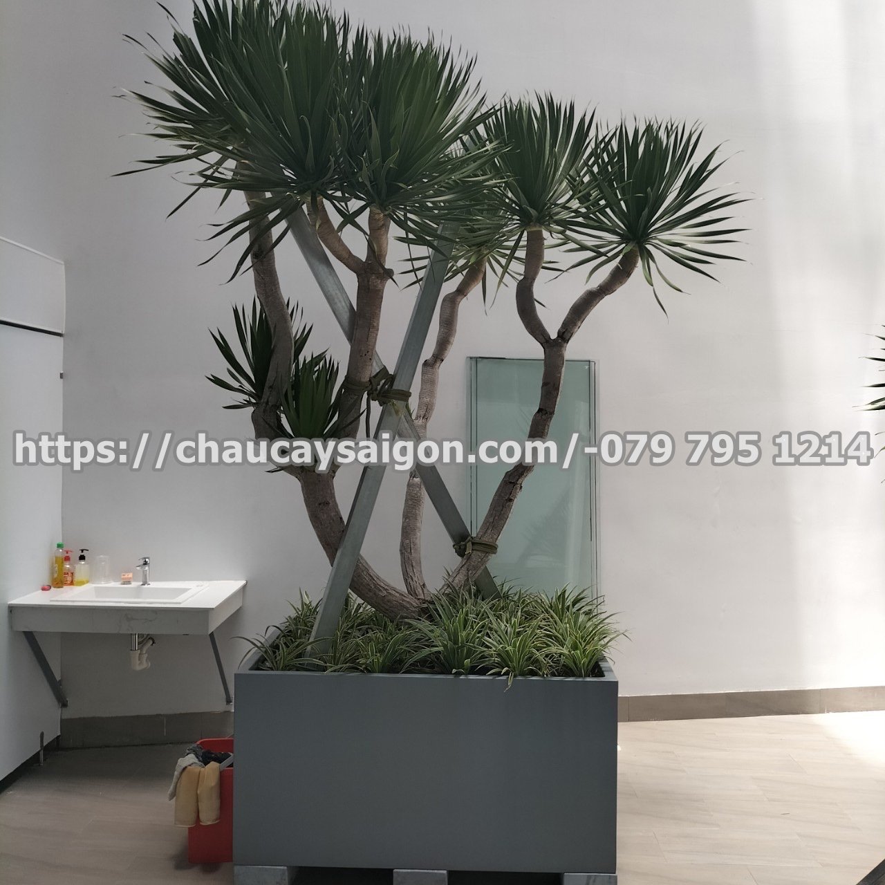 Cảnh quan văn phòng Quận Tân Bình TP.HCM 2