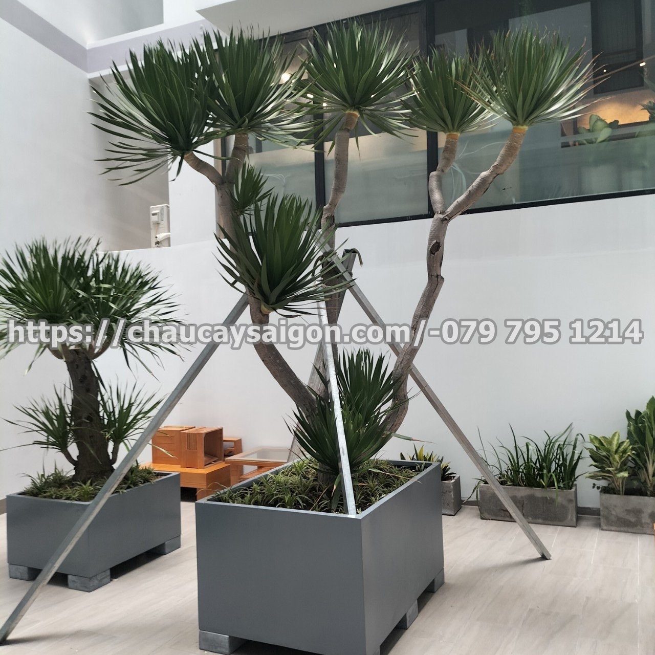 Cảnh quan văn phòng Quận Tân Bình TP.HCM