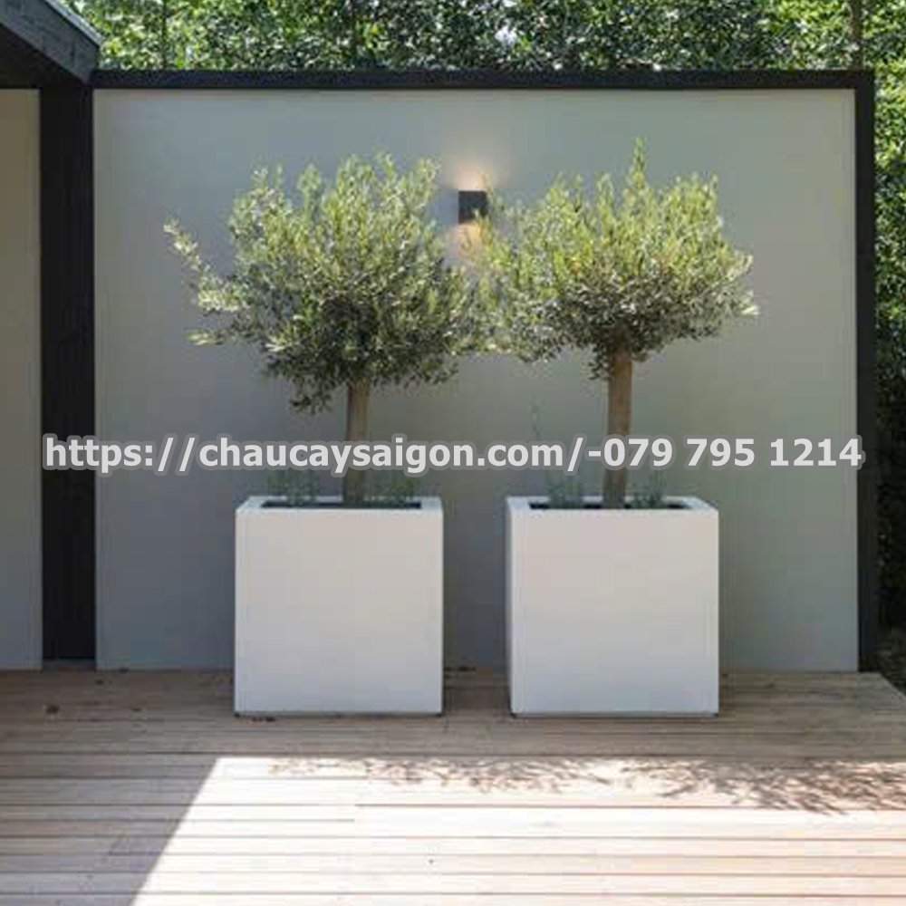 Chậu xi măng đá mài vuông trắng 2