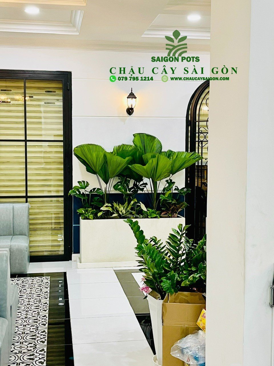 Thi công cây xanh Viện Thẩm Mỹ ChiVee